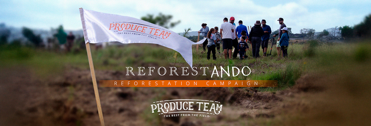 reforrestando